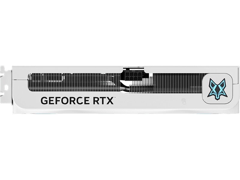 VGA CARD MANLI RTX 5060 8GB POLAR FOX OC GDDR7