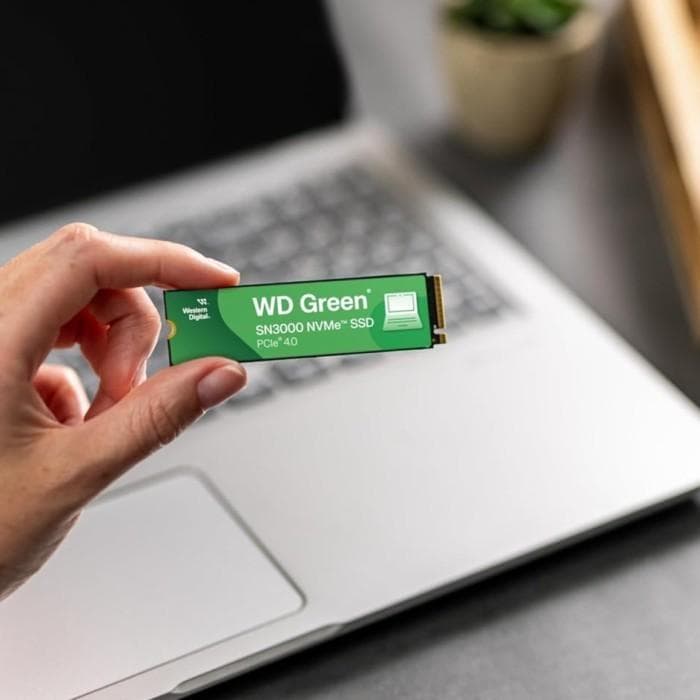 SSD NVME WD GREEN SN3000 GEN 4.0 - (500GB - 1TB)