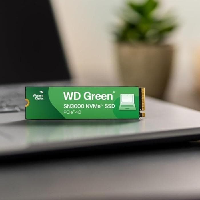 SSD NVME WD GREEN SN3000 GEN 4.0 - (500GB - 1TB)