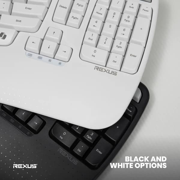 KEYBOARD REXUS ERCHO KL280 WIRELESS ERGONOMIC WITH AI SHORTCUT KEY