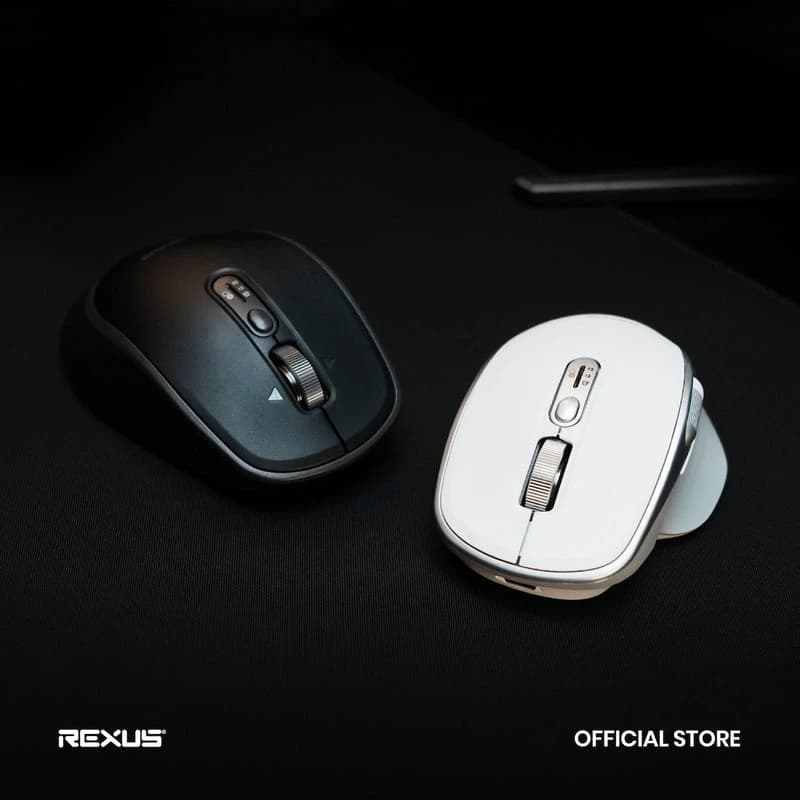 MOUSE REXUS FLOW QZ20 WIRELESS OFFICE ERGONOMIC SILENT CLICK